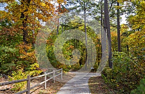 Sunny view of the beautiful fall color of Hobbs State Park-Conservation Area