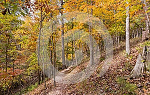 Sunny view of the beautiful fall color of Hobbs State Park-Conservation Area