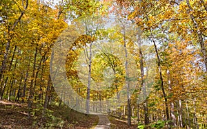 Sunny view of the beautiful fall color of Hobbs State Park-Conservation Area