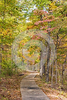 Sunny view of the beautiful fall color of Hobbs State Park-Conservation Area