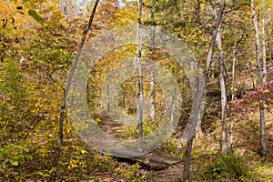 Sunny view of the beautiful fall color of Hobbs State Park-Conservation Area