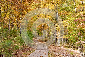 Sunny view of the beautiful fall color of Hobbs State Park-Conservation Area