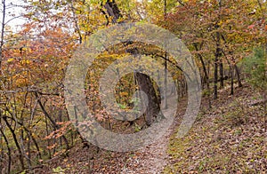 Sunny view of the beautiful fall color of Hobbs State Park-Conservation Area