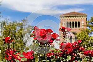 Sunny view of the campus of the University of Southern California