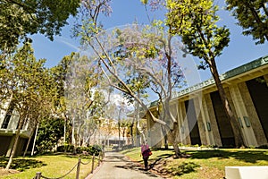 Sunny view of the campus of the University of Southern California