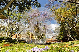 Sunny view of the campus of the University of Southern California