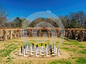 Sunny view of the chessmate in San Antonio Botanical Garden