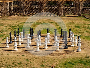 Sunny view of the chessmate in San Antonio Botanical Garden