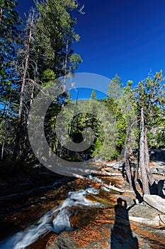 Sunny view of the Horsetail Fall Trail at Lake Tahoe