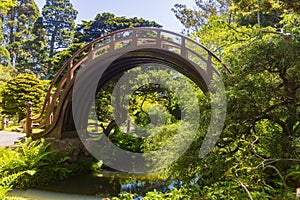 Sunny view of the Japanese Tea Garden in Golden Gate Park