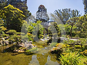 Sunny view of the Japanese Tea Garden in Golden Gate Park