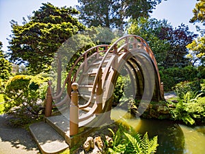 Sunny view of the Japanese Tea Garden in Golden Gate Park