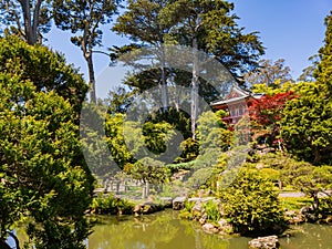 Sunny view of the Japanese Tea Garden in Golden Gate Park