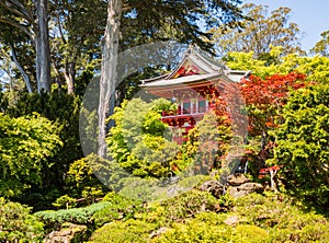 Sunny view of the Japanese Tea Garden in Golden Gate Park