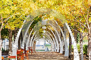 Sunny view of the Klyde Warren Park