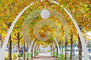 Sunny view of the Klyde Warren Park