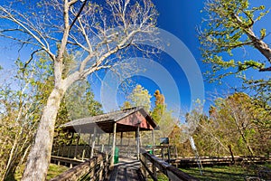 Sunny view of the landsacpe in Bayou Sauvage NWR Ridge Trail