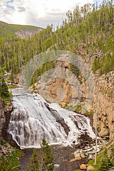 Sunny view of the landscape around Gibbon Falls in Yellowstone National Park photo