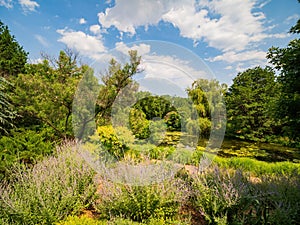 Sunny view of the landscape in Botanica, The Wichita Gardens
