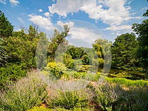 Sunny view of the landscape in Botanica, The Wichita Gardens photo