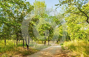 Sunny view of the nature landscape of Martin Nature Park
