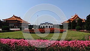 Sunny view of the NTCH Arts Plaza with many flower blossom