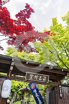 Sunny view of the Seizan Sodo