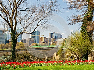 Sunny view of the Skyline of Arlington, VA from Francis Scott Key Memorial photo