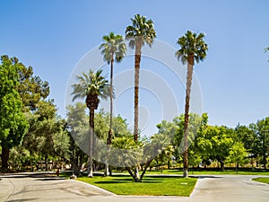 Sunny view of the UNLV campus