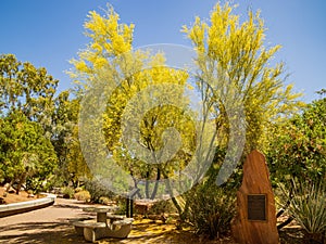 Sunny view of the UNLV campus