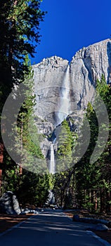 Sunny view of the upper and lower Yosemite Falls of Yosemite National Park