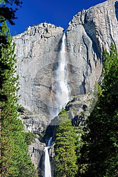 Sunny view of the upper and lower Yosemite Falls of Yosemite National Park