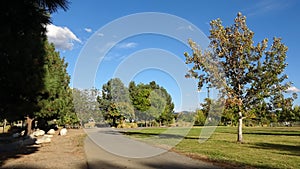 Sunny walking path in a park