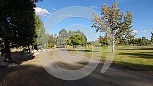 Sunny walking path in a park
