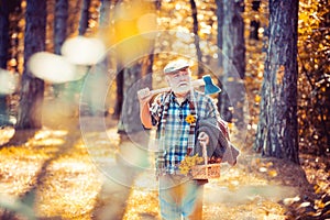 Sunny weather. Portrait of aged man with beard. Mature man with beard in hat. Outdoor portrait. Woodman in forest. Human