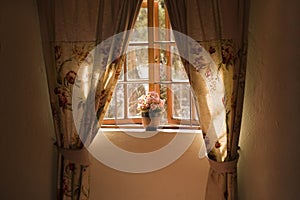 Sunny window sill with pot plant and curtains