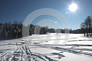 Sunny winter day