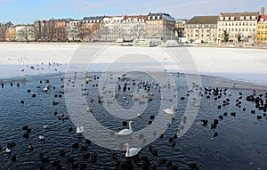 Sunny winter day in Copenhagen.