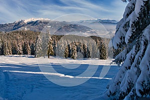 Sunny winter day from meadow under Dlha Luka hill on Mala Fatra mountains  near Martinske Hole