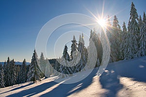 Sunny winter day from meadow under Dlha Luka hill on Mala Fatra mountains  near Martinske Hole