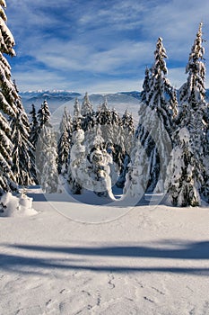 Sunny winter day from meadow under Dlha Luka hill on Mala Fatra mountains  near Martinske Hole