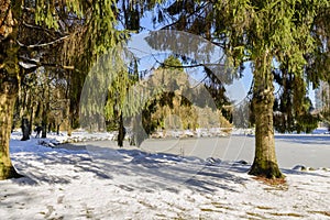 sunny winter day in a snow-covered city park with a lake of bound ice