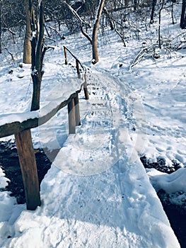 Sunny winter day in the snow forest, small bridge