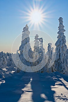 Sunny winter day on Vidlica peak in Mala Fatra