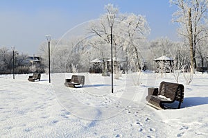 Sunny winter frosty day in park. An alley in park with benches and lanterns. Winter background, landscape, postcard