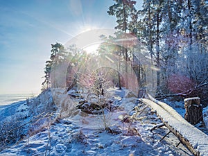 Sunny winter landscape