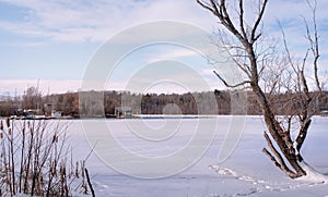 Sunny winter landscape with a frozen lake and clear water around a house with a pier against a row of trees under an