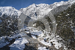 Sunny winter landscape with mountain river and forest in Austrian Alps, Mieming, Tyrol, Austria