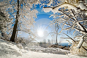 Sunny winter landscape in snow