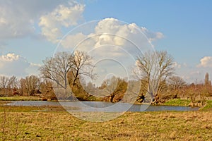 Sunny winter marsh landscape with pond and trees